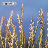 Angolperje