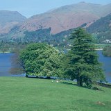 Parque en el lugar de áreas deforestadas en Inglaterra