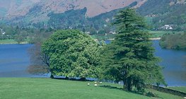 Parque en el lugar de áreas deforestadas en Inglaterra