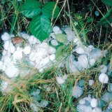 Depois de uma chuva de granizo