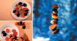 Comida de inverno de passarinho