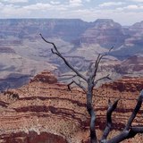 The Grand Canyon