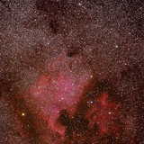 North America Nebula in the constellation Cygnus