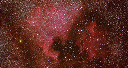 América do Norte Nebulosa na constelação de Cygnus