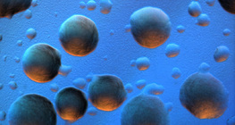 Colônias de bactérias E. coli (fundo colorido)