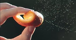 Óleos essenciais - casca de laranja