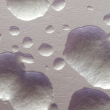 E. coli bacteria colonies (unstained, white)