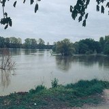 Marea alta en el Danubio