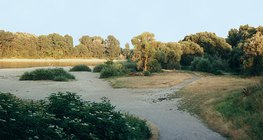 Maré baixa no Danúbio