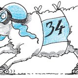 Versenybari rajtszámát is határozott számnévvel adták meg