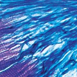 Ligação entre músculo e tendão