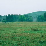 Planalto de Bükk (Hungria)