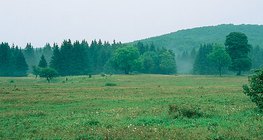 Planalto de Bükk (Hungria)