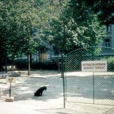 Área designada para pasear perros