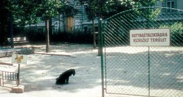 Área designada para pasear perros