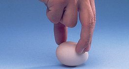 Hacer girar los huevos