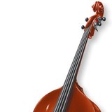 Double bass