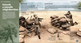 Los soldados de la Segunda Guerra Mundial (japonés, americano)