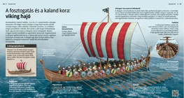 La era de las aventuras y los saqueos: el barco vikingo