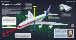 ¿Qué hace que se eleve un avión?