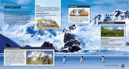 Los glaciares