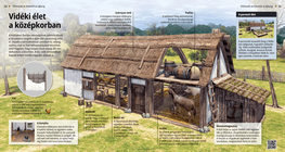 La vida rural en la Edad Media