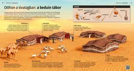 Los campamentos beduinos