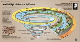El desarrollo de la flora y la fauna