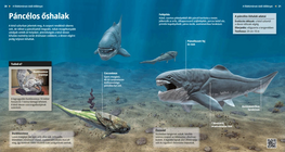 Los peces prehistóricos con armadura