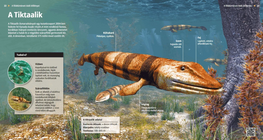 Los Tiktaalik