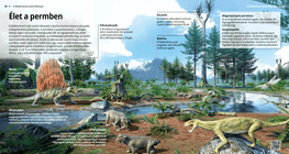 La vida en el período pérmico