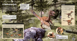 Los Deinonychus