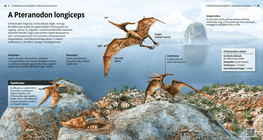 El Pteranodon longiceps