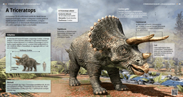 Los triceratops