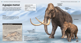 El mamut lanudo