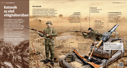 Los soldados de la Primera Guerra Mundial (británico)