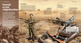 Los soldados de la Primera Guerra Mundial (británico)