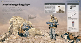El Marine estadounidense