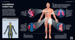 El increíble cuerpo humano
