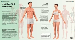 El cuerpo femenino y masculino