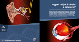 ¿Cómo percibimos el mundo a nuestro alrededor?