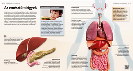 Las glândulas digestivas