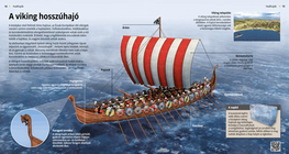 El barco vikingo