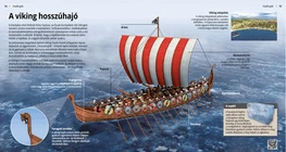 El barco vikingo