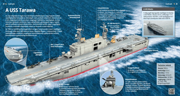 El USS Tarawa