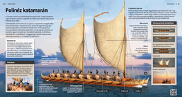 El catamarán polinesio