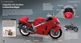 El placer de la velocidad: Motocicletas