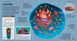 El secreto de las células