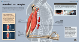 Los movimientos del cuerpo