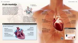 El trabajo del corazón